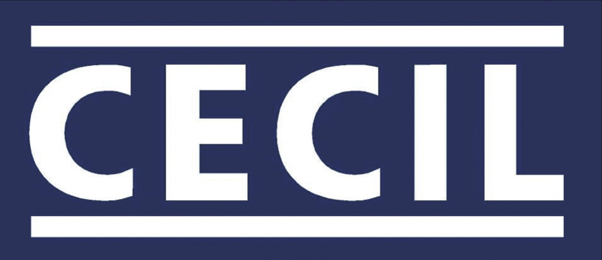 CECIL – Summer Sale: Jetzt sommerliche Styles entdecken