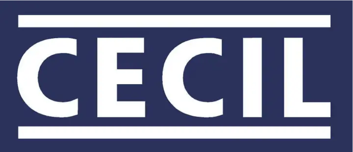 CECIL – Summer Sale: Jetzt sommerliche Styles entdecken
